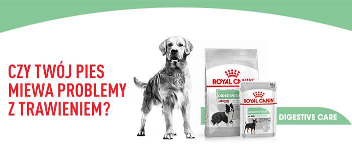 ROYAL CANIN CCN Medium Digestive Care 3 kg karma sucha dla psów dorosłych, ras średnich o wrażliwym przewodzie pokarmowym